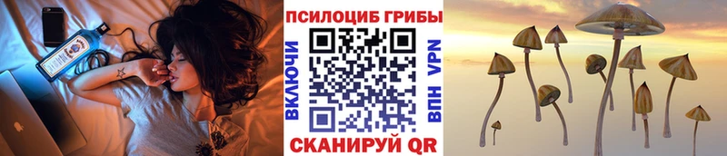 ссылка на мегу зеркало  Сокол  Галлюциногенные грибы GOLDEN TEACHER 